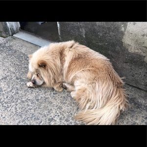 Meet your Posher, Mariely